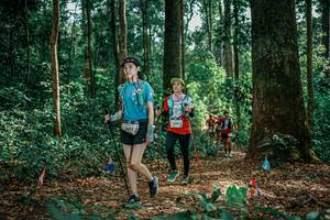 BIB: 
                            <button type="button" onclick="openModal(26135464)" class="btn btn-primary btn-sm float-right btn-popup" data-toggle="modal" data-target=".modal-high-quality">
                        <i class="fas fa-shopping-cart"></i> Add to Cart
                    </button>
                                            <button type="button" onclick="isThisMe(26135464, true)" class="btn btn-success btn-sm float-right btn-popup btn-isme hidden" data-toggle="tooltip" data-placement="bottom" title="นี่คือรูปของคุณใช่ไหม คลิกที่นี่เพื่อเอาเข้าอัลบั้ม">
                        <i class="fas fa-plus"></i> Add to album
                    </button>
                    <button type="button" onclick="isThisMe(26135464, false)" class="btn btn-warning btn-sm float-right btn-popup btn-isnotme hidden">
                        <i class="fas fa-ban"></i> Remove from album
                    </button>